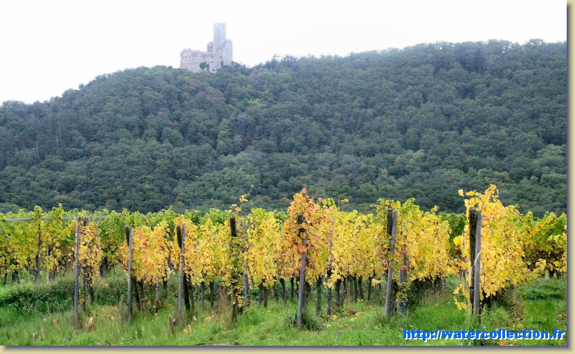 Diapositive suivante